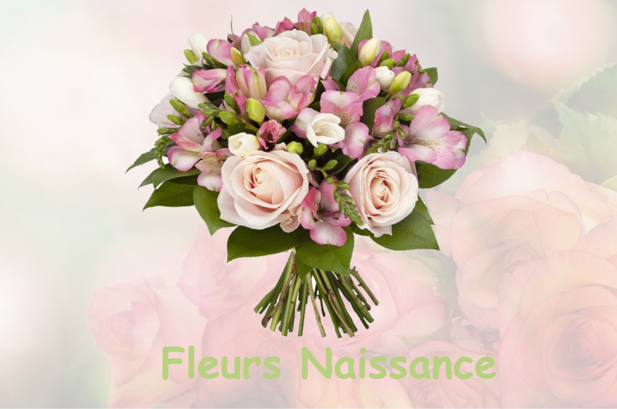 fleurs naissance VILLERS-SUR-MEUSE