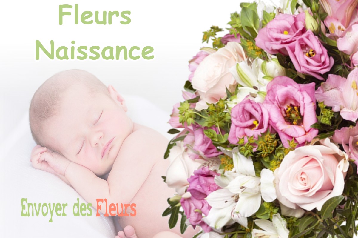 lIVRAISON FLEURS NAISSANCE à VILLERS-SUR-MEUSE